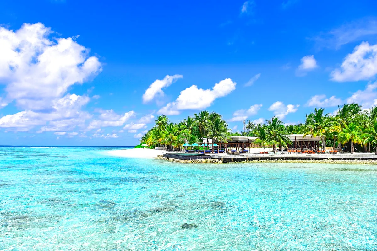 Tropical palm-lined beach with turquoise ocean